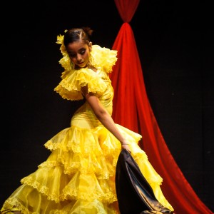 Flamenco fin_-61
